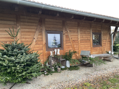 Rustikale Holzhütte am Christbaumdorf im Spessart mit Tannenbaum und Sitzbereich vor der Tür