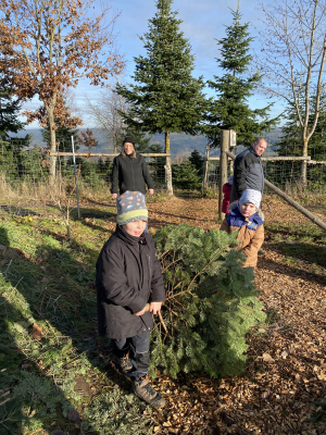 Kinder und Erwachsene beim Christbaum sägen im Christbaumdorf Klug im Spessart