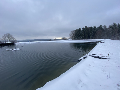 Verschneiter Bergsee im Spessart nahe dem Christbaumdorf, stimmungsvolle Kulisse für Weihnachtsfeiern