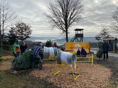 Frisch gesägte Weihnachtsbäume werden im Christbaumdorf Klug im Spessart für den Transport eingenetzt