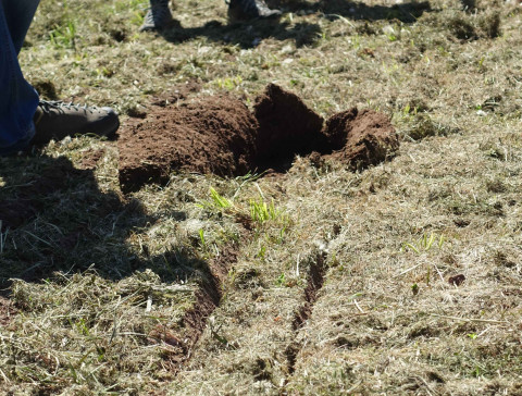 Foto von unterschnittenem Boden in Nahaufnahme