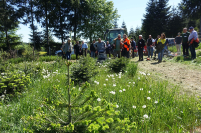 Teilnehmergruppe bei praktischer Vorführung auf Christbaumplantage