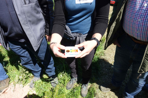 Foto von pH-Wert-Messung auf der Christbaumplantage