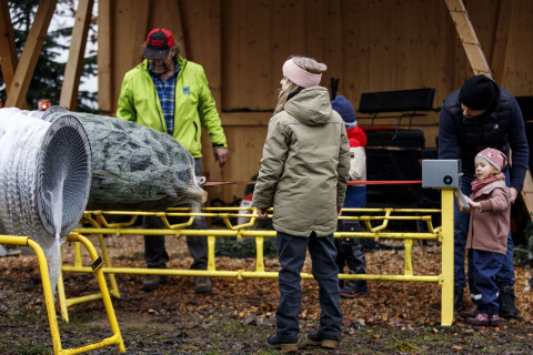 Frisch geschlagener Christbaum wird für den Transport eingenetzt Weihnachtsbaum wird an einer Netzmaschine für den Transport vorbereitet