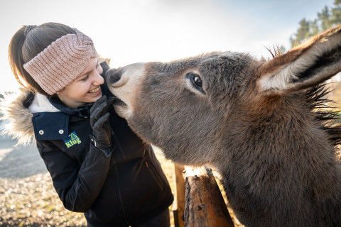 Besonderes Erlebnis bei der Firmenweihnachtsfeier im Christbaumdorf Frau streichelt einen Esel im Streichelzoo des Christbaumdorfs