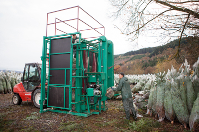 Maschine zur Verpackung und Einnetzung von Weihnachtsbäumen Verpackungsmaschine für Weihnachtsbäume im Einsatz