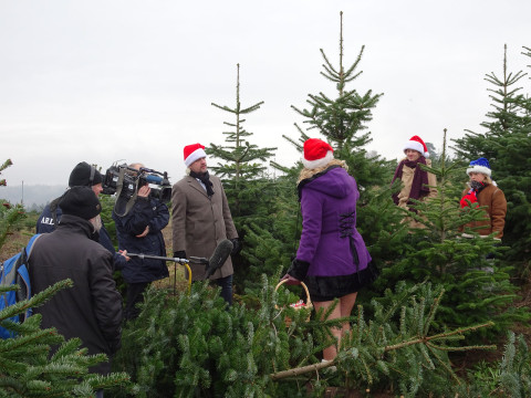 Mehrere Menschen in Weihnachtsmützen stehen zwischen Weihnachtsbäumen, Kamerateams filmen.