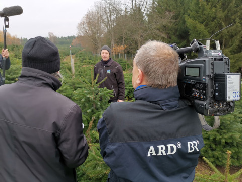 Zwei Kameraleute mit „ARD BR“ Jacken filmen eine Person in einer Weihnachtsbaumplantage.