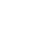 Christbaum-Klug Logo Logo von Christbaum-Klug mit Tannenbaum-Symbol