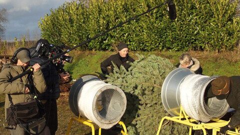 Uwe Klug und Nadja Seufert beim Verpacken des Christbaums – ZDF Dreharbeiten Kamerateam filmt das Einnetzen eines frisch geschlagenen Weihnachtsbaumes durch zwei Personen