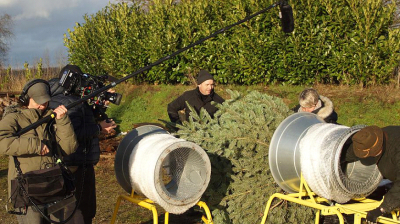 Kamerateam filmt das Einnetzen eines frisch geschlagenen Weihnachtsbaumes durch zwei Personen