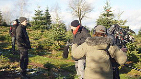 Filmteam filmt eine Unterhaltung zwischen mehreren Personen zwischen Weihnachtsbäumen