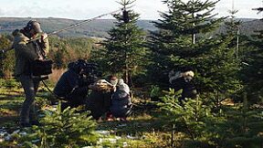 Nadja Seufert beim Selberschlagen ihres Weihnachtsbaums – ZDF Dreharbeiten Kamerateam filmt Frau beim Schlagen eines Weihnachtsbaumes in der Plantage