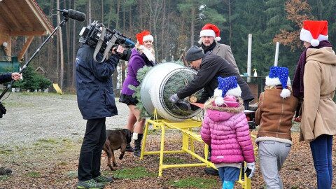 Das BR-Filmteam begleitet das Verpacken eines Weihnachtsbaumes bei Christbaum-Klug Menschen in Weihnachtsmützen und ein Kamerateam beobachten das Einnetzen eines großen Weihnachtsbaumes auf einem Hof