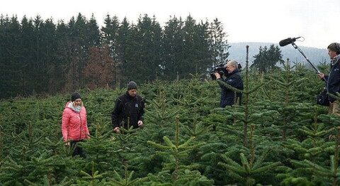 Bayerischer Rundfunk dreht Interview zwischen Weihnachtsbäumen Filmteam mit Mikrofon und Kamera filmt zwei Personen in einer Weihnachtsbaumkultur