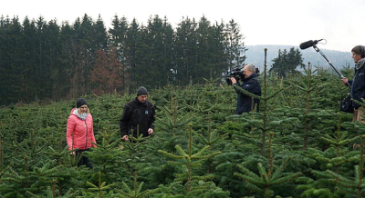 Filmteam mit Mikrofon und Kamera filmt zwei Personen in einer Weihnachtsbaumkultur