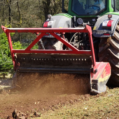 Traktor mit Mulcher bei der Bodenbearbeitung im Forst Traktor mit Mulcher fräst Wurzelstöcke zwischen Weihnachtsbäumen