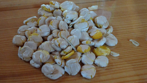 Nahaufnahme von gequetschten gelb-weißen Samen auf einem Holztisch