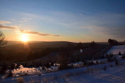 Sonnenuntergang mit Blick über die verschneiten Christbaumkulturen von Christbaum Klug