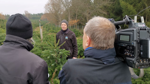 Interview zur Christbaumproduktion und Klimawandel im Spessart Fernsehteam interviewt einen Mann in einer Weihnachtsbaumkultur, Kamera im Vordergrund