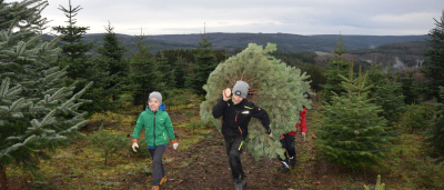 Zwei Kinder tragen frisch geschlagenen Weihnachtsbaum durch Plantage beim Christbaum selbst sägen