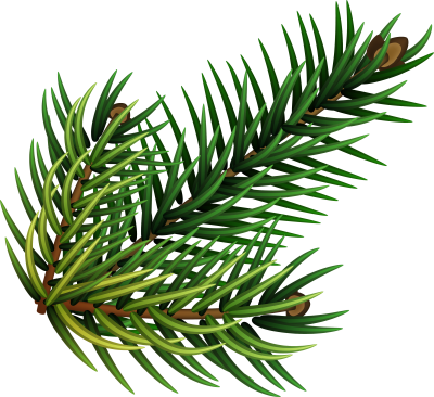 Tannenzweig zur Information über die Umfirmierung zu Christbaum Klug eGbR