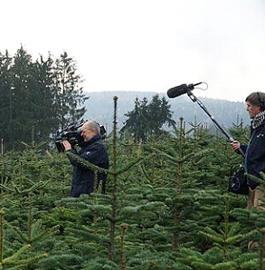 Christbaum Klug im Film